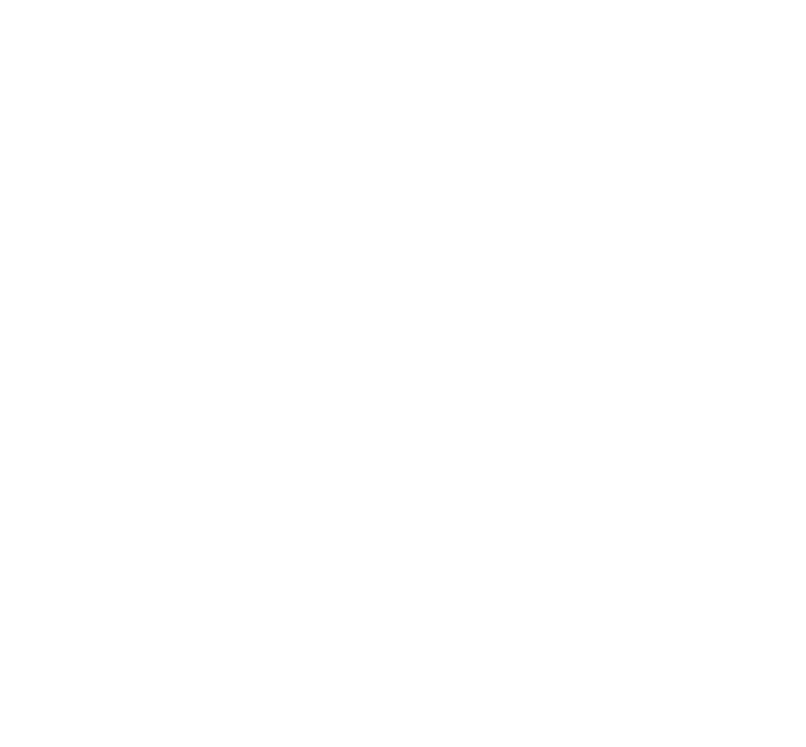 logo Meriam Burm